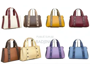 Sac À Main De Femme Chic Bicolore Anse Tressée 8 Couleur À Kolda