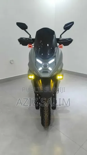 Scooter Limousine Électrique
