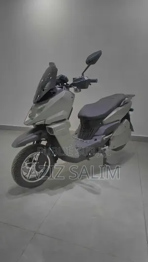 Scooter Limousine Électrique