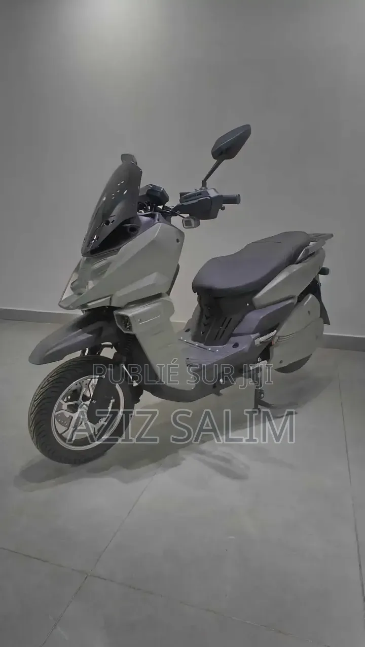 Scooter Limousine Électrique