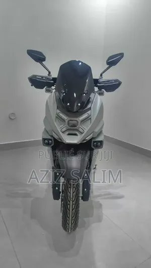 Scooter Limousine Électrique