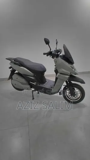 Scooter Limousine Électrique