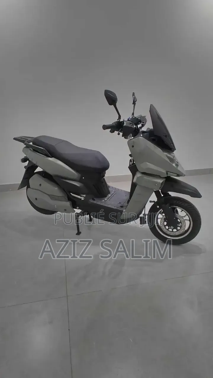 Scooter Limousine Électrique
