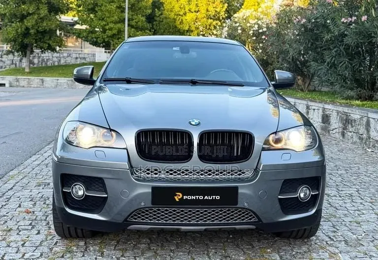 BMW X6 2011 Gris