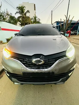 Renault 30 2018 Marron