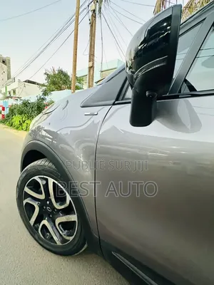 Renault 30 2018 Marron