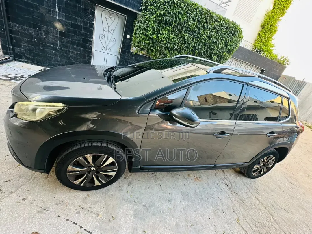 Peugeot 2008 2017 Gris