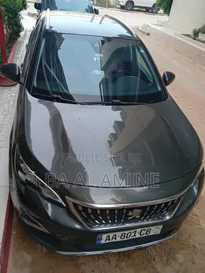 Peugeot 3008 2020 Gris