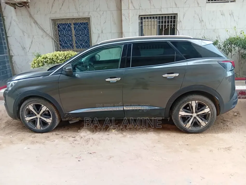 Peugeot 3008 2020 Gris