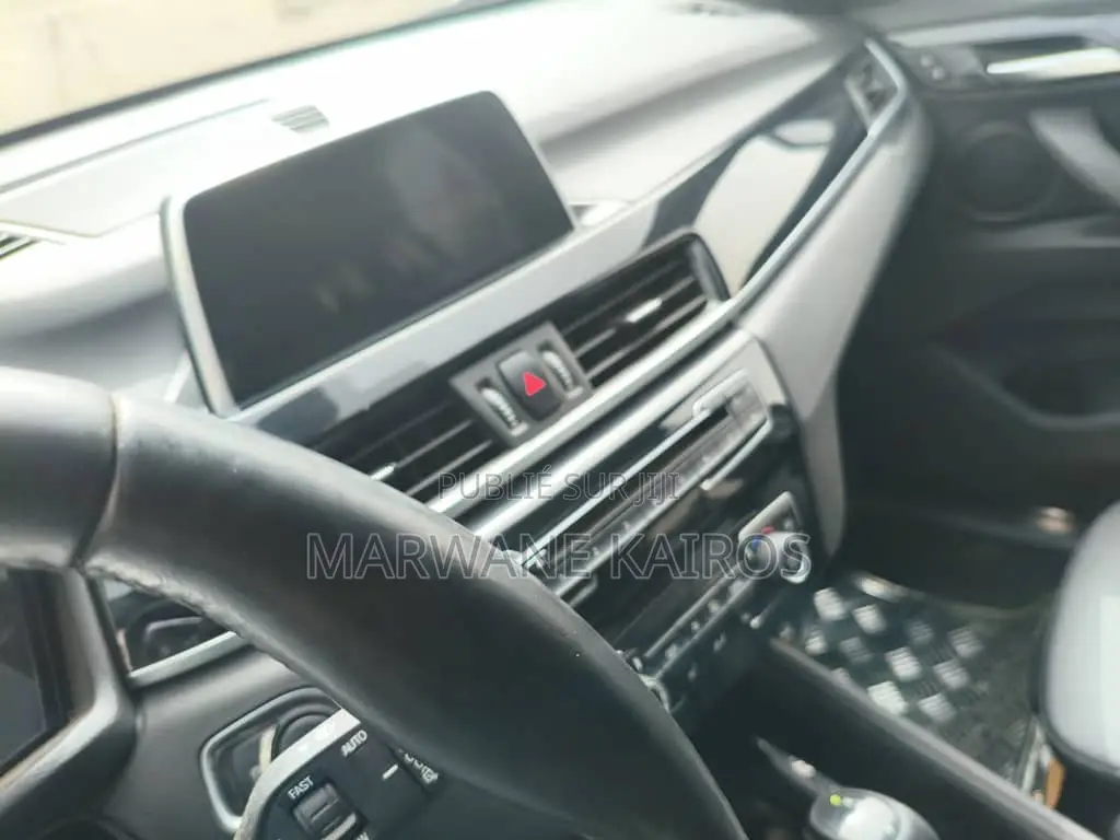 BMW X1 2018 Gris