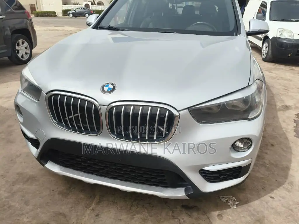 BMW X1 2018 Gris