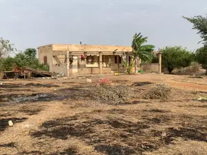 Verger Clé en Main De 9 Ha Avec Forage, Serre Vers Keur Moussa - Thiès