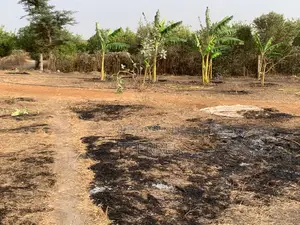 Verger Clé en Main De 9 Ha Avec Forage, Serre Vers Keur Moussa - Thiès
