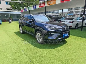 Toyota RAV4 2023 Noir