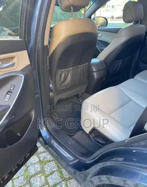 Hyundai Santa Fe 2017 Noir