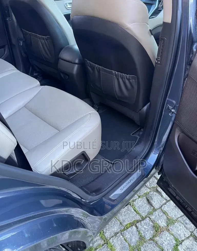 Hyundai Santa Fe 2017 Noir