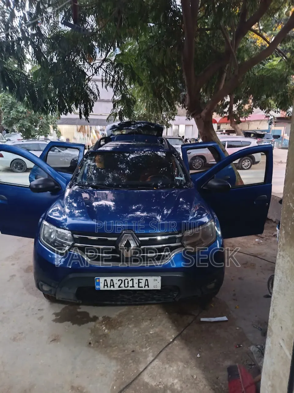 Renault Duster 2021 Bleu