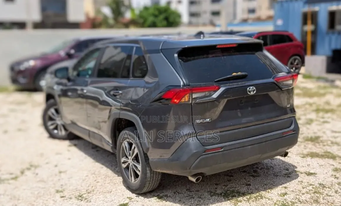 Toyota RAV4 2023 Gris