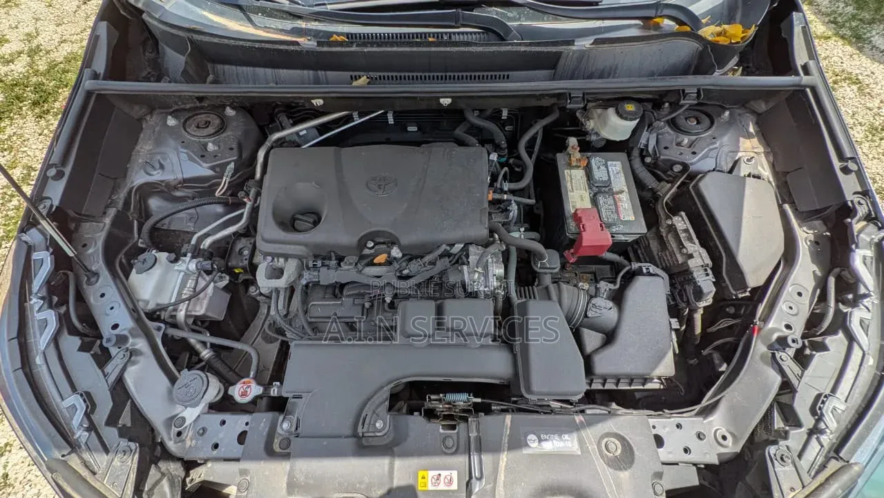 Toyota RAV4 2023 Gris