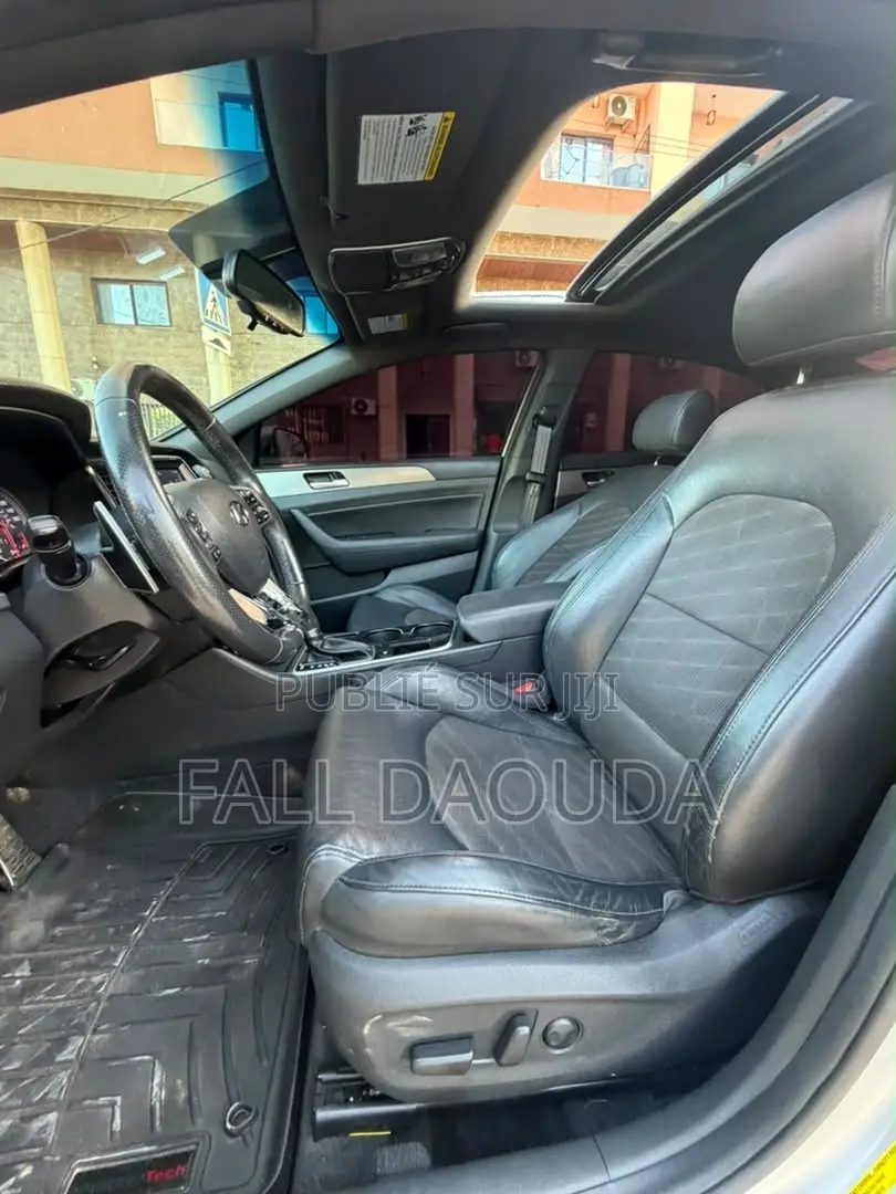 Hyundai Sonata 2019 Gris