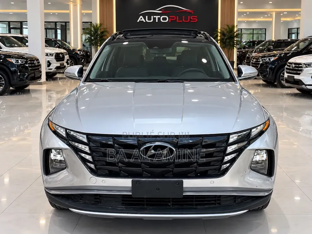 Hyundai Tucson 2024 Gris