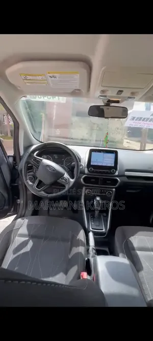 Ford Ecosport 2018 Gris