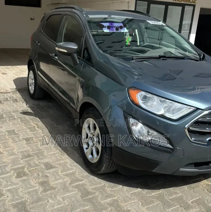 Ford Ecosport 2018 Gris