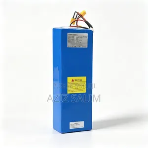 Batterie Lithium Ion 48v