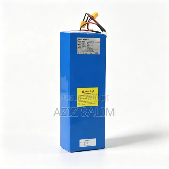 Batterie Lithium Ion 48v