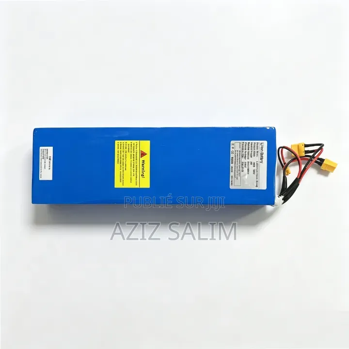 Batterie Lithium Ion 48v