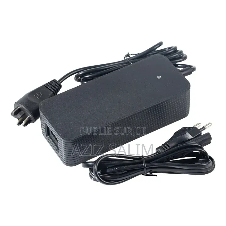 Chargeur Ebike Bosh