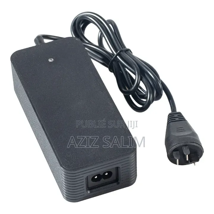 Chargeur Ebike Bosh