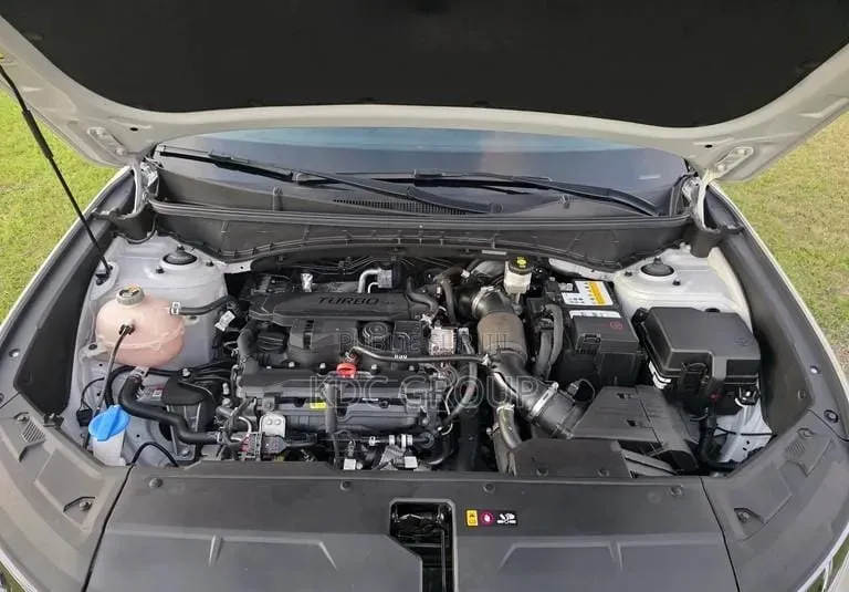 Hyundai Tucson 2024 Gris