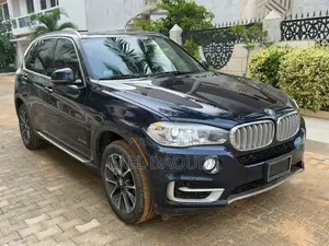 BMW X5 2018 Bleu