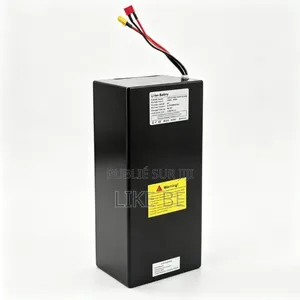 Batterie 48v EBIKE Venant