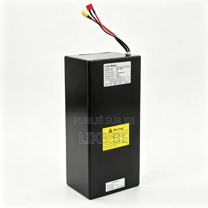 Batterie 48v EBIKE Venant