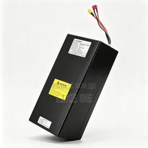 Batterie 48v EBIKE Venant