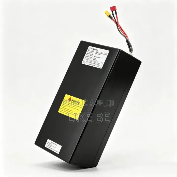 Batterie 48v EBIKE Venant