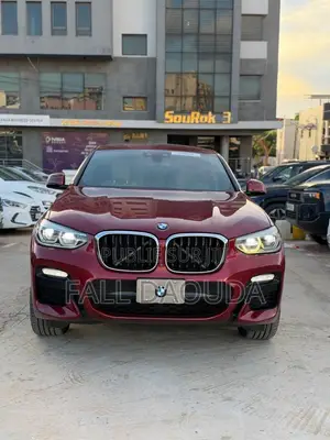 BMW X4 2019 Rouge