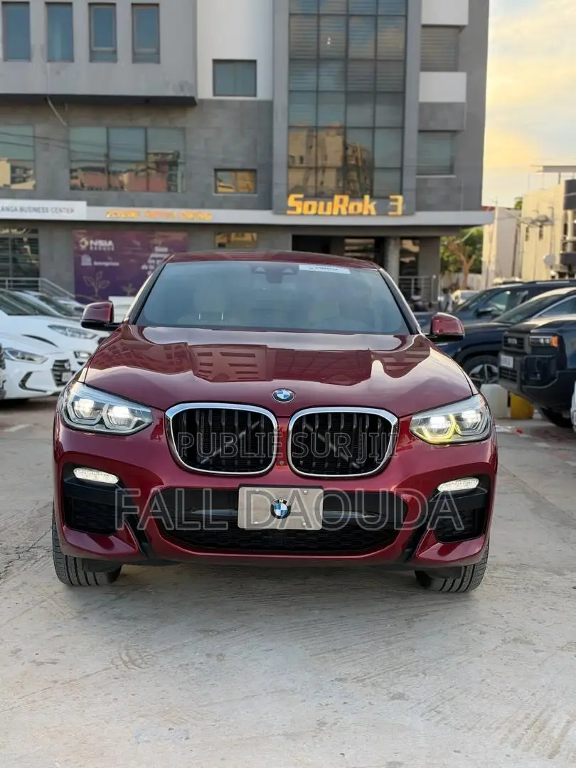 BMW X4 2019 Rouge