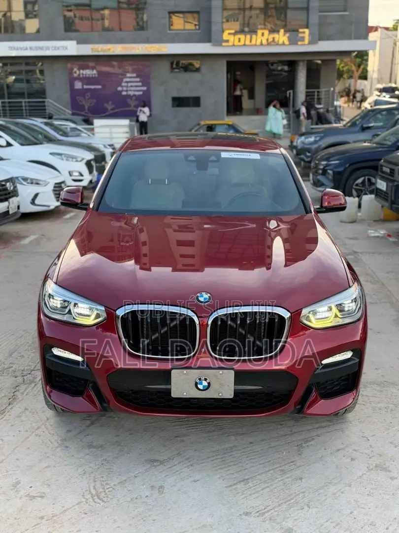 BMW X4 2019 Rouge