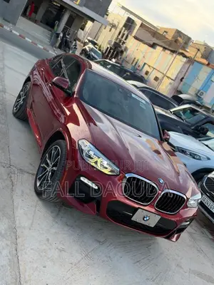 BMW X4 2019 Rouge