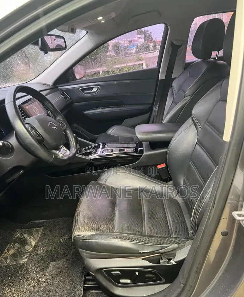 Renault Samsung SM6 2017 Gris