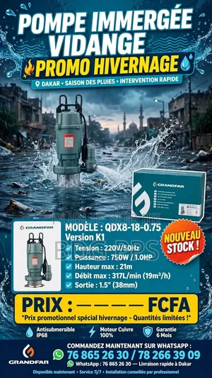 Pompe d'Évacuation d'Eau De Pluie