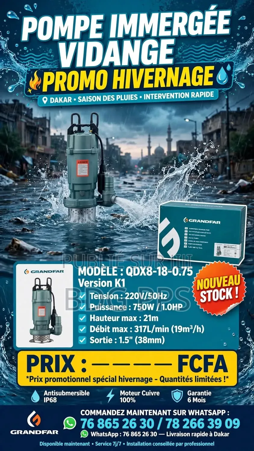 Pompe d'Évacuation d'Eau De Pluie