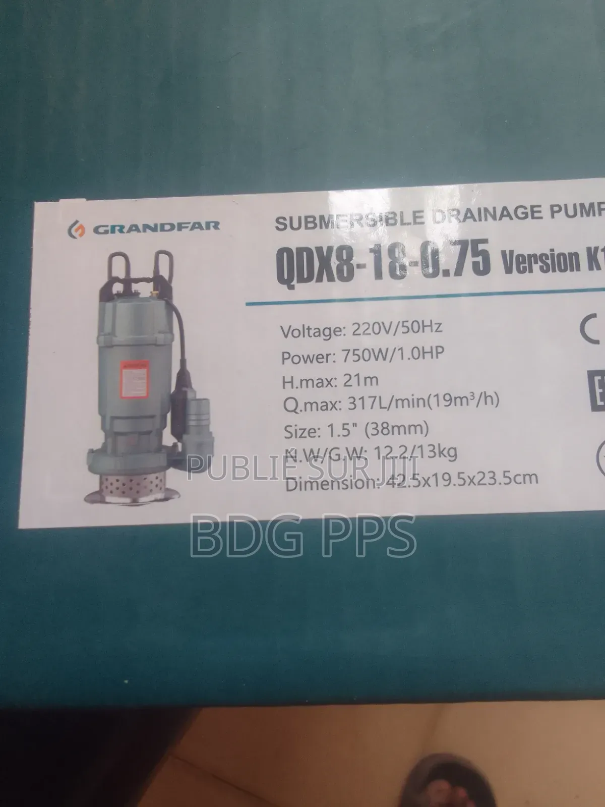 Pompe d'Évacuation d'Eau De Pluie