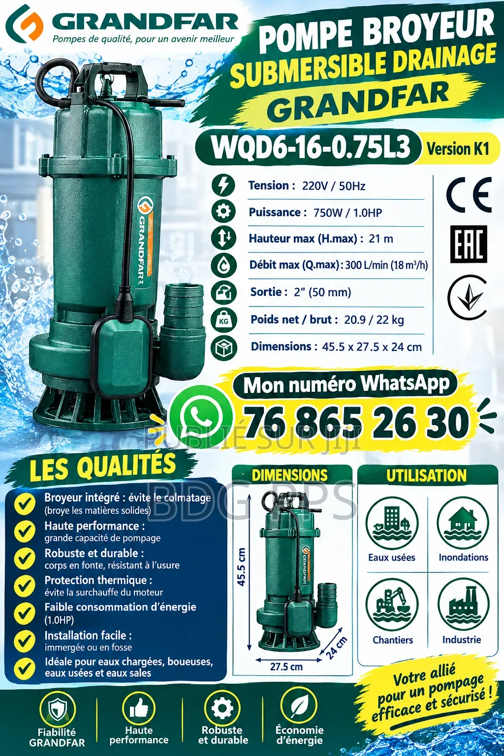 Pompe d'Évacuation d'Eau De Pluie