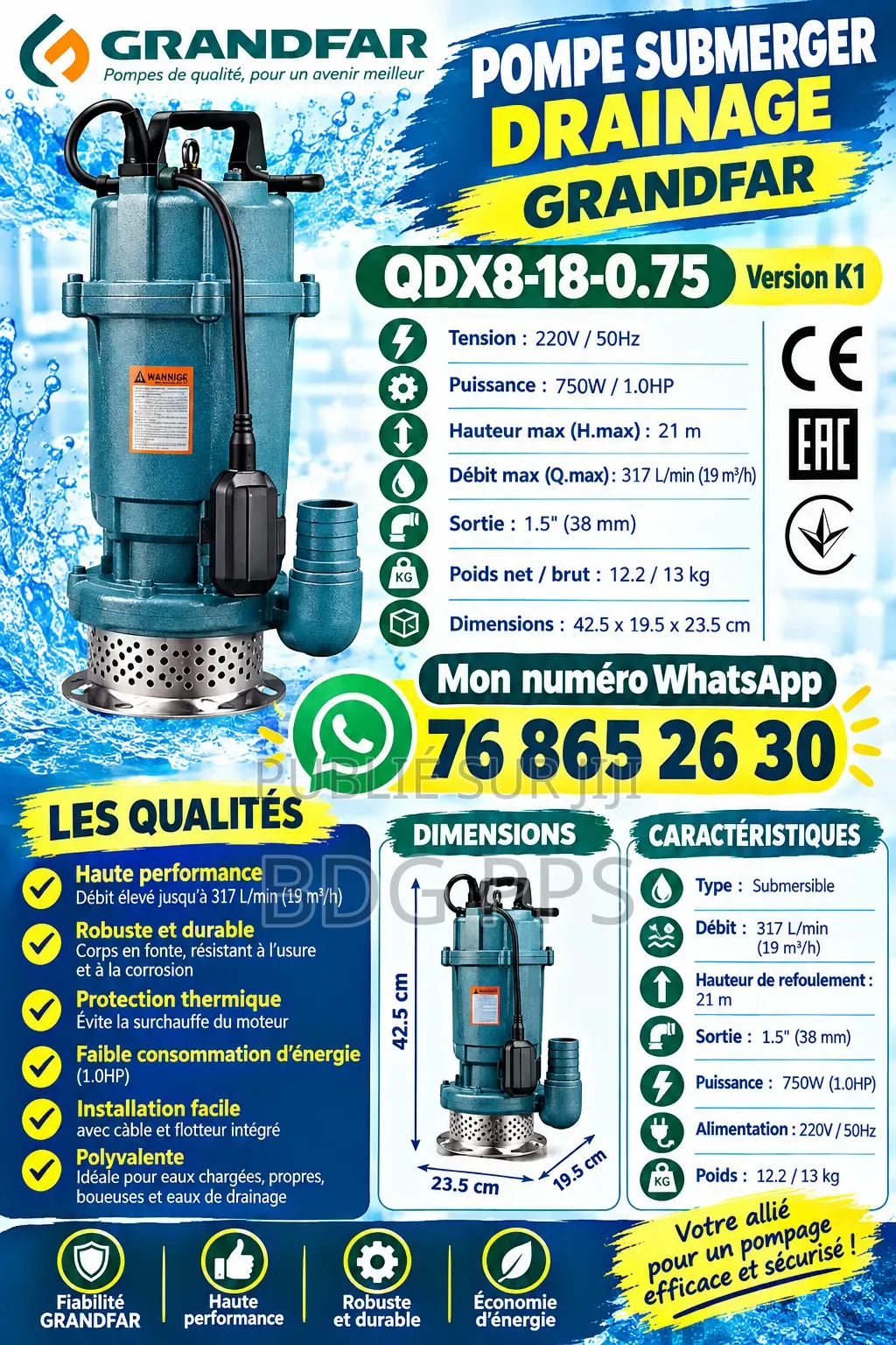 Pompe d'Évacuation d'Eau De Pluie