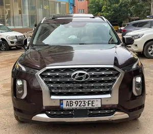 Hyundai Palisade 2020 Marron