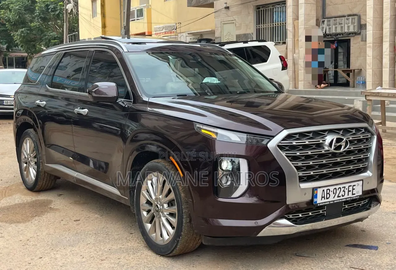 Hyundai Palisade 2020 Marron